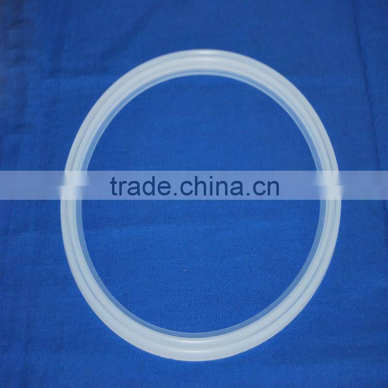 gasket for outdoor lighting