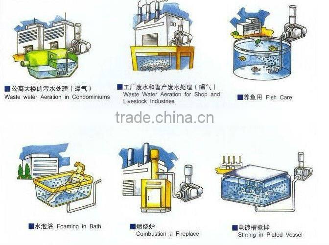 two lobes roots blower