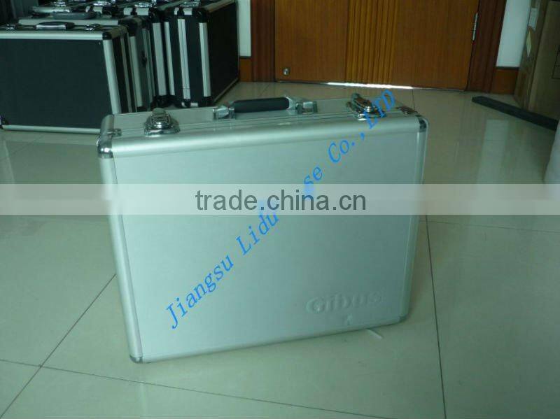 twin Gun Case