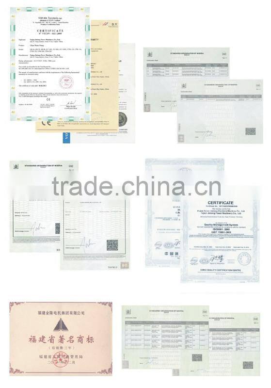 factory price stf brushless ac alternator generator