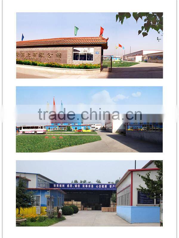 chocolate packing aluminium foil for moulding