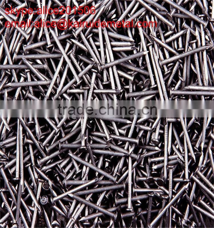 common round iron wire nail,common iron wire nail