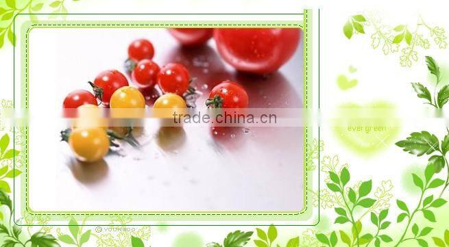 High concentrated canned tomato paste,brix:28-30%