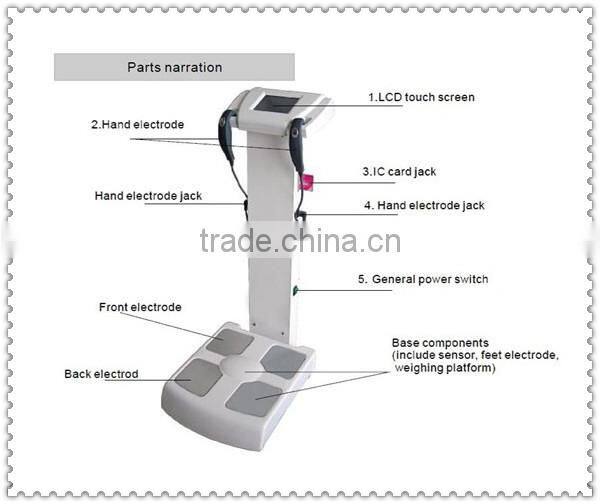 Professional body composition analyzer machine