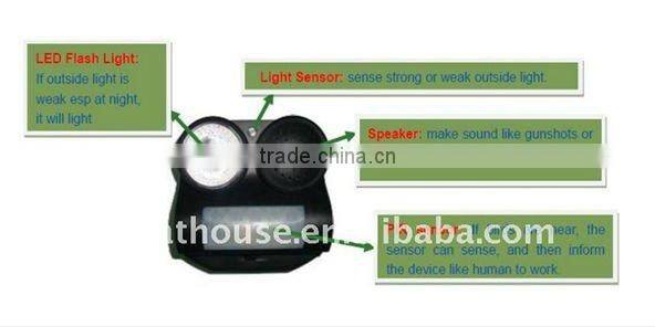 Sound and Flashing PIR Bird Scare