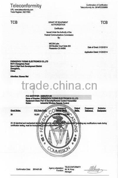 F21-10D-2TX Industrial wireless crane remote control switch