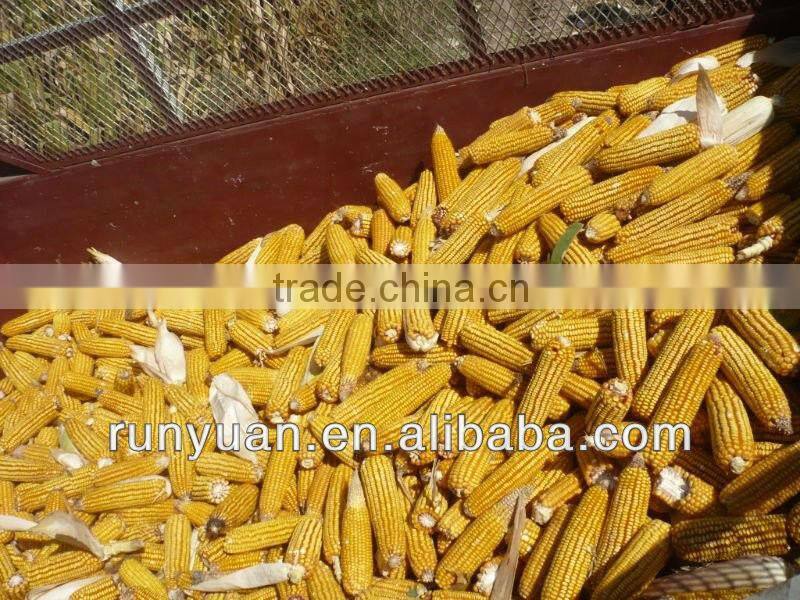 4 row mini corn combine harvester 4YZ-4B