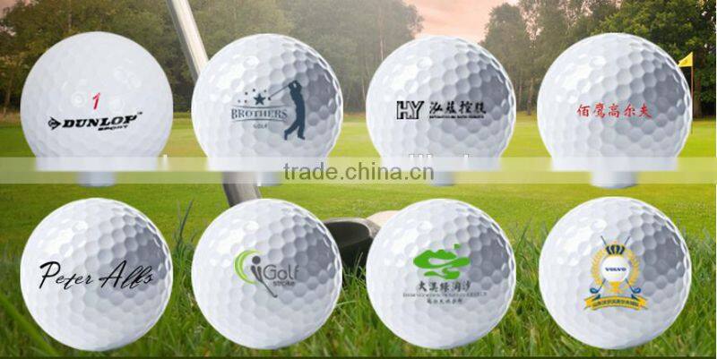 Promotional Logo Customized Plastic Practice Golf Balls