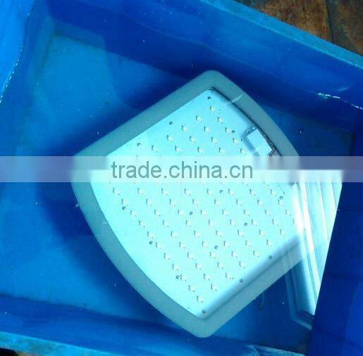 Cold White 120Beam Angle FESTOON Base 5 Years Warranty Explosion Proof Lighting Led