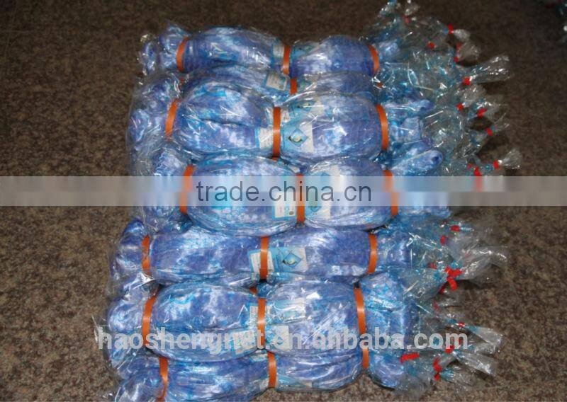 Plastic blue monofilament fishing net