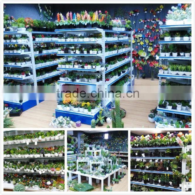 Burgundy Artificial succulent potted in White vase