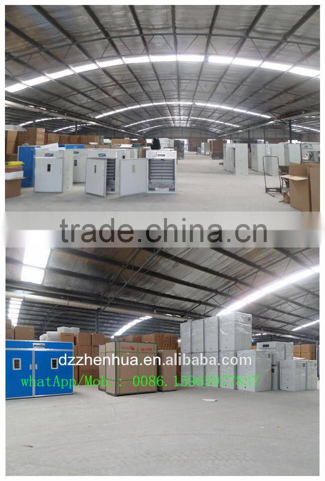 automatic drinker for rabbits (whatsapp: +86 159 6597 7837)