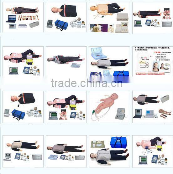 Human acupuncture model 100% factory 70cm