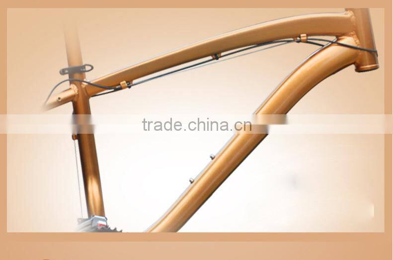 Export Worldwide Countries Fat Tire Beach Cruiser Bike Snow Sand Bike