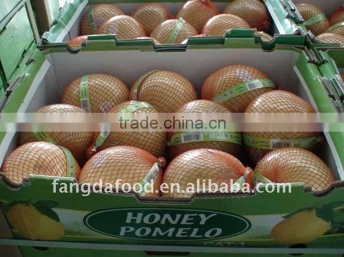 Chinese Fresh Honey Pomelo Hot Exporting