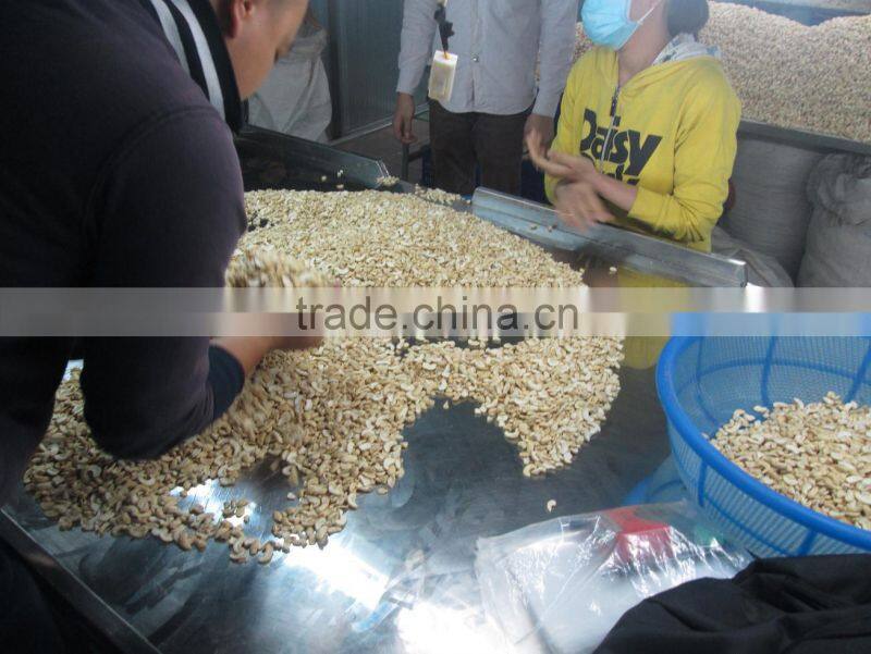 CASHEW NUT SW320, LBW320, DW