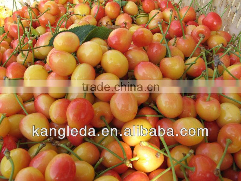 Dried Cherry for Decoration in Bakery, Chocolate