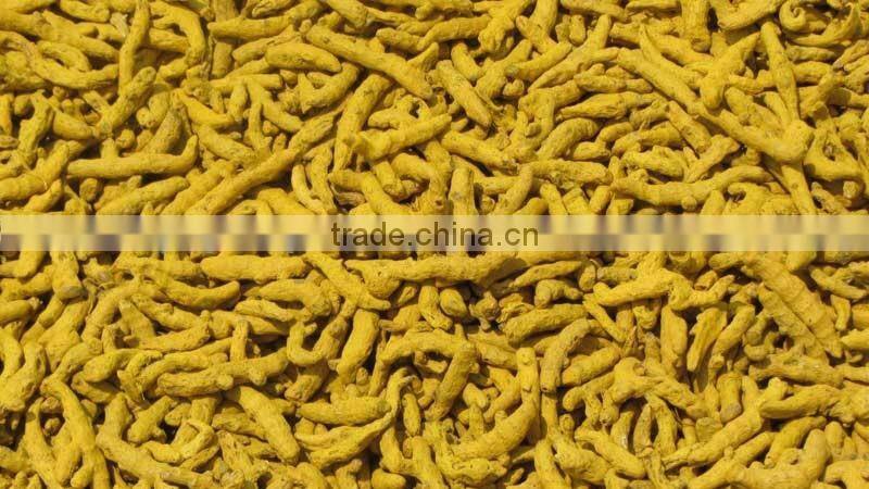 Dried Turmeric Exporters/Turmeric Curcumin
