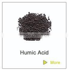 Soilless Growing Media Perlite