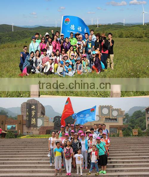 Supplying silver /golden crude vermiculite and exfoliated vermiculite