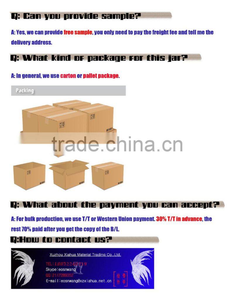 clear dinosaur egg glass jar