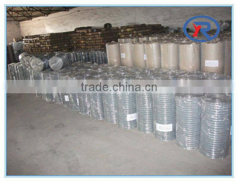 China lowest price galvanized hexagonal wire netting/decorative chicken wire mesh