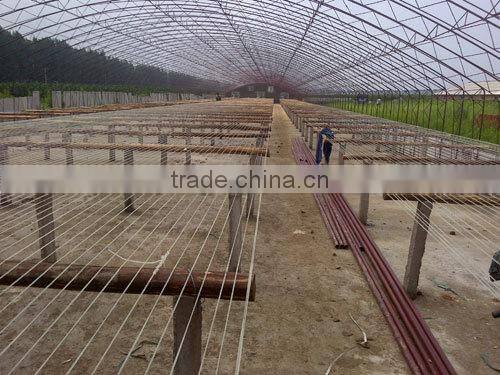 polyester wire, pet wire monofilament wire, agriculture supporting wire