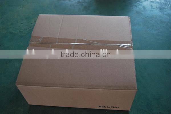 Indoor Plant Lighting 600w HPS/Halide Ballast/600w Hydroponic Magnetic Ballast