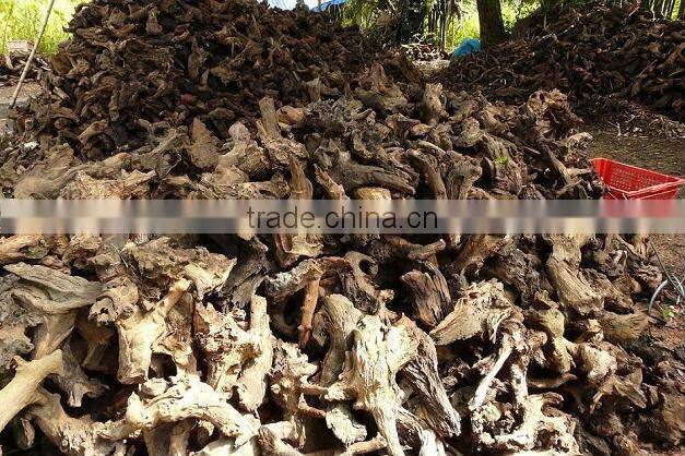 Natural roots for aquarium