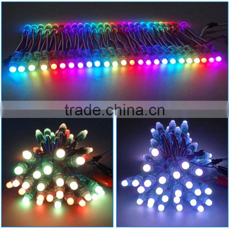 LED String Light Waterproof IP68 Full Color 12mm F8 RGB LED strawhat light