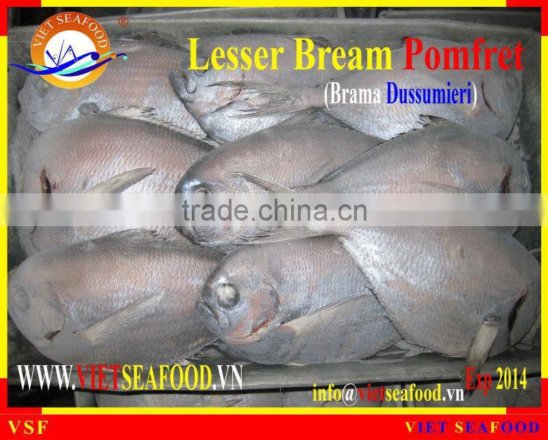 FROZEN LESSER BREAM POMFRET W/R