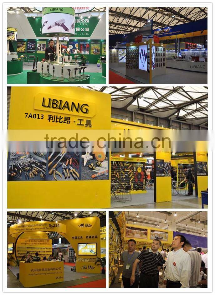 Ice climbing snow shoe crampons