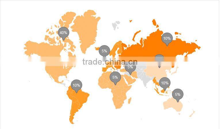 2015 New product wooden tray for child