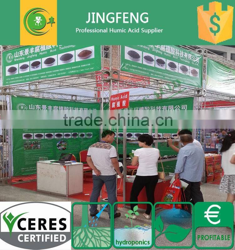 Top Dressing/Base Fertilizer Humic Acid Granule