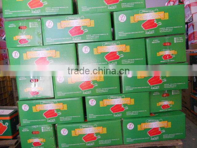 good quality new crop carrot
