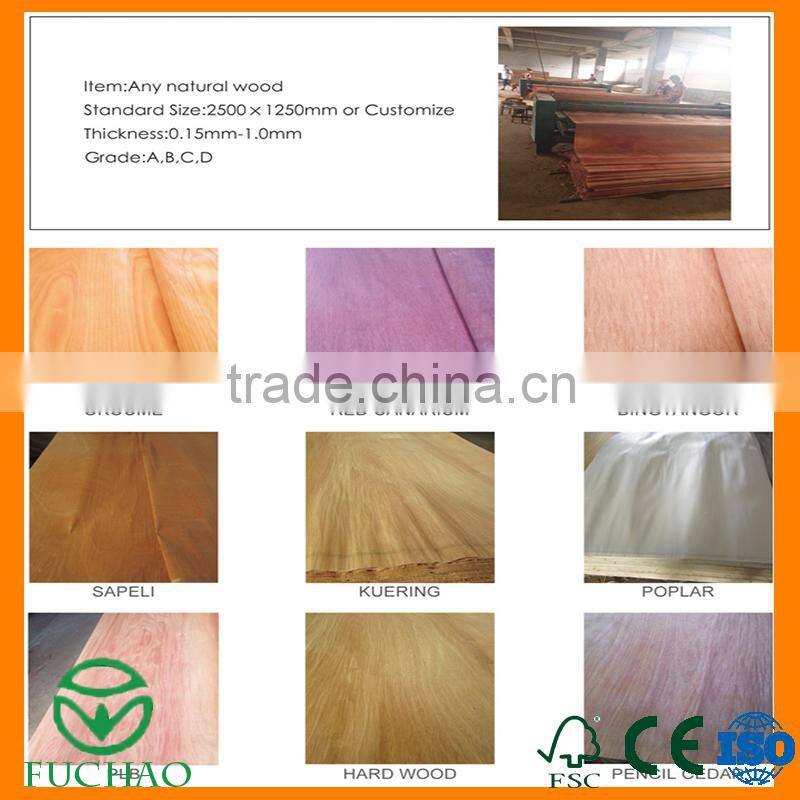 Shiny Bintangor Veneer for Interior Decoration form China Wood Factory