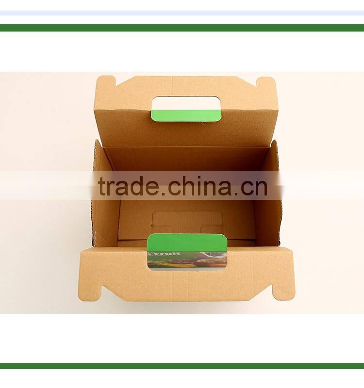 new style vegetable carton eco-friendly printed high quality fruit box