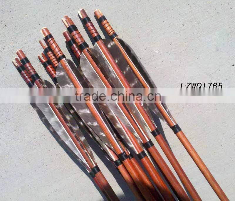 Feather Arrows LZWQ1764