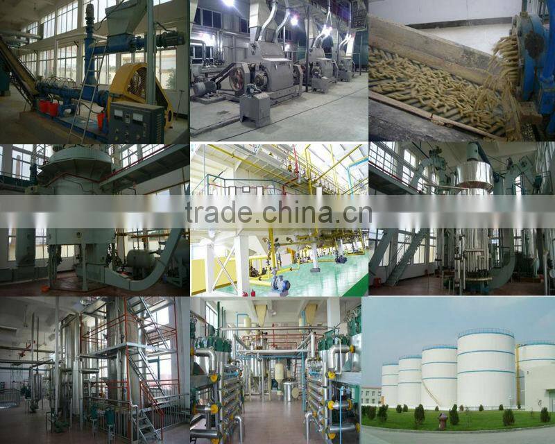 Canola Oil Extraction Plant