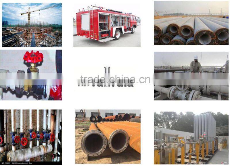 class150 class300 standard pressure pipe AISI flange from Chinese supplier