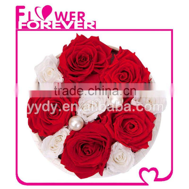 Top Selling Natural Preserved Roses