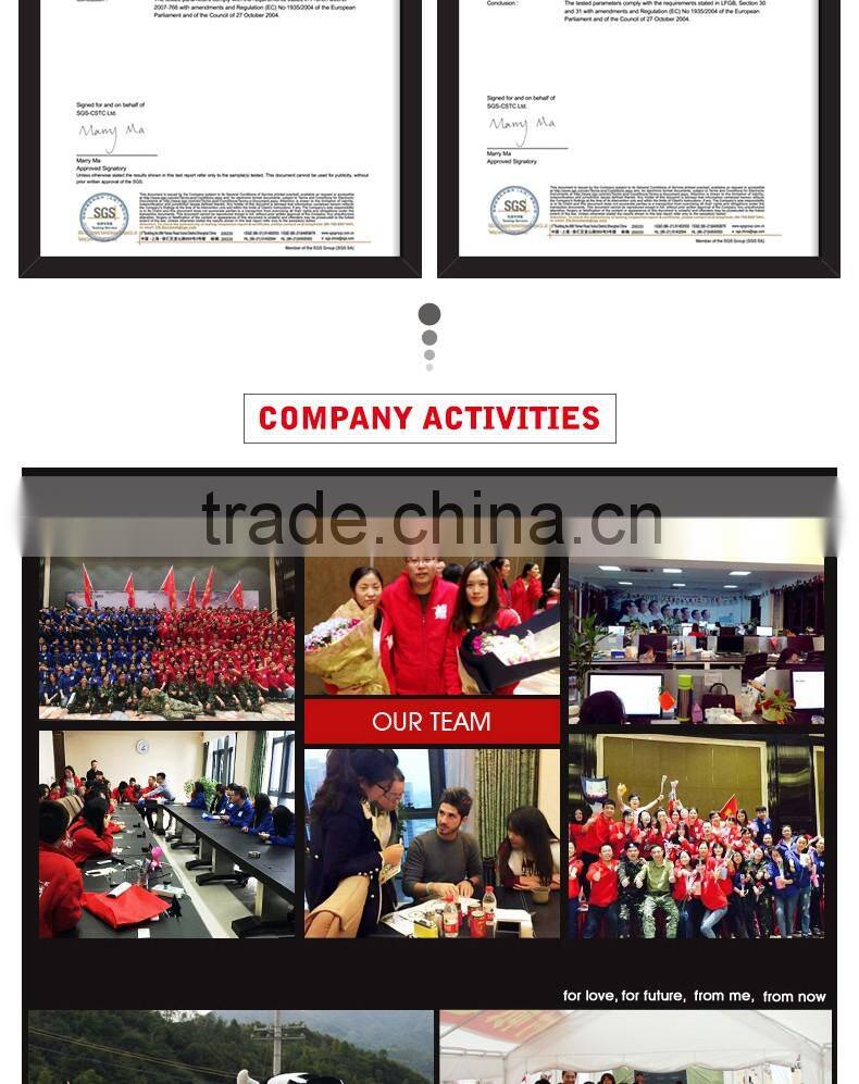 2016 Hot Sell Sinpole Camping Grill Rotisserie Kit (rotisserie Dc 12v Motor)camping Kit with CE/FDA approved