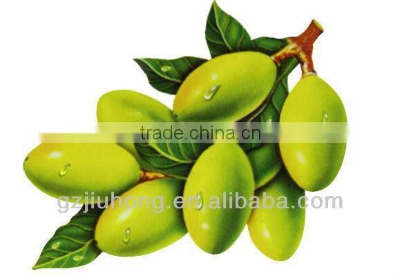 2013 hot selling olive extracts professional facial mask