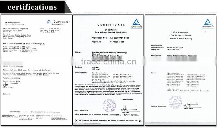 Haining Mingshuai Vintage led filament bulb C35 with plastic light source 2W E14