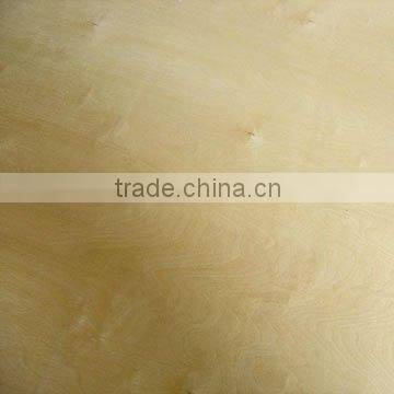Birch Veneer Plywood for furniture