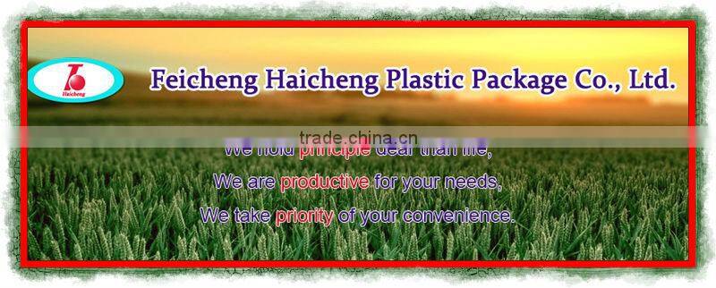 160gsm striped rain fly pe tarpaulin