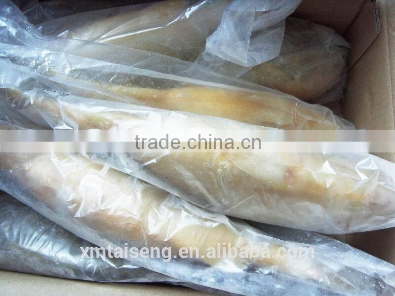 Frozen Yellow Croaker Fish Farming 500-600g