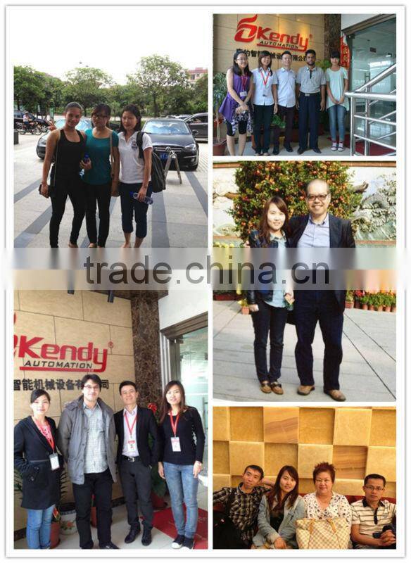 Adjustable flexible automatic chain driven sealing machine