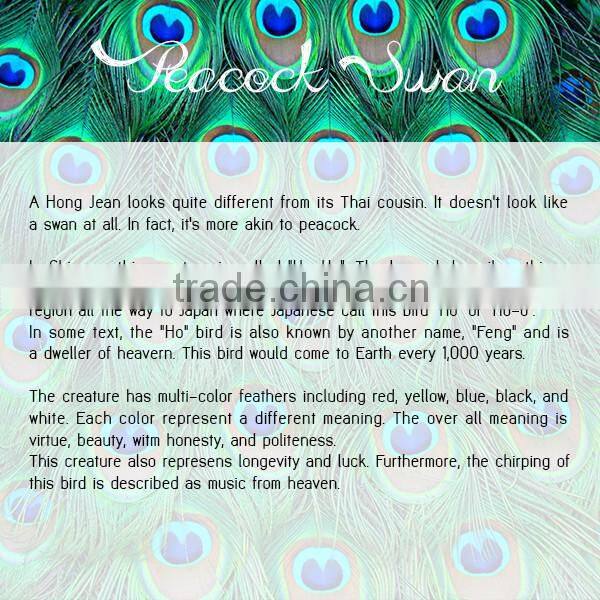 Peacock Swan THAILAND ART T-SHIRT PAINTED FABRIC acrylic glitter PAINTING BY HAND RARE PRODUCTS
