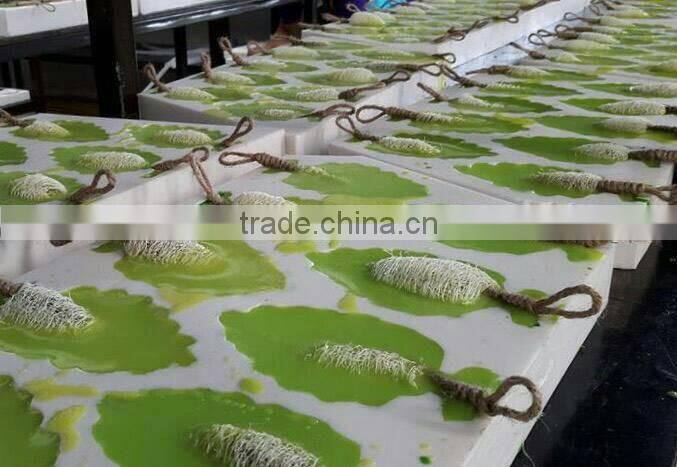 Jasmine Soap Flower Shaped Soap Thailand Natural Herbal Soap Fancy Soap Hotel Supplies